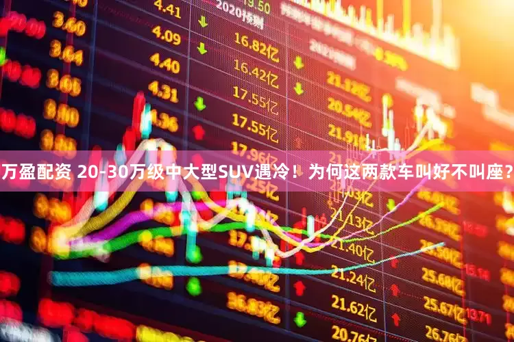 万盈配资 20-30万级中大型SUV遇冷！为何这两款车叫好不叫座？