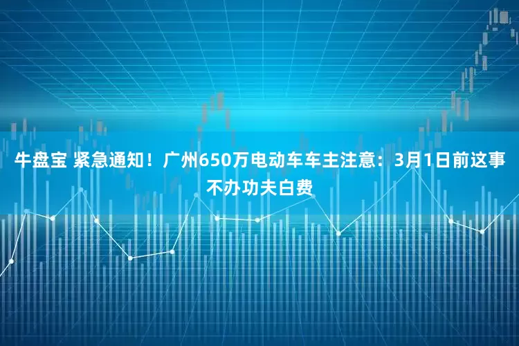 牛盘宝 紧急通知！广州650万电动车车主注意：3月1日前这事不办功夫白费